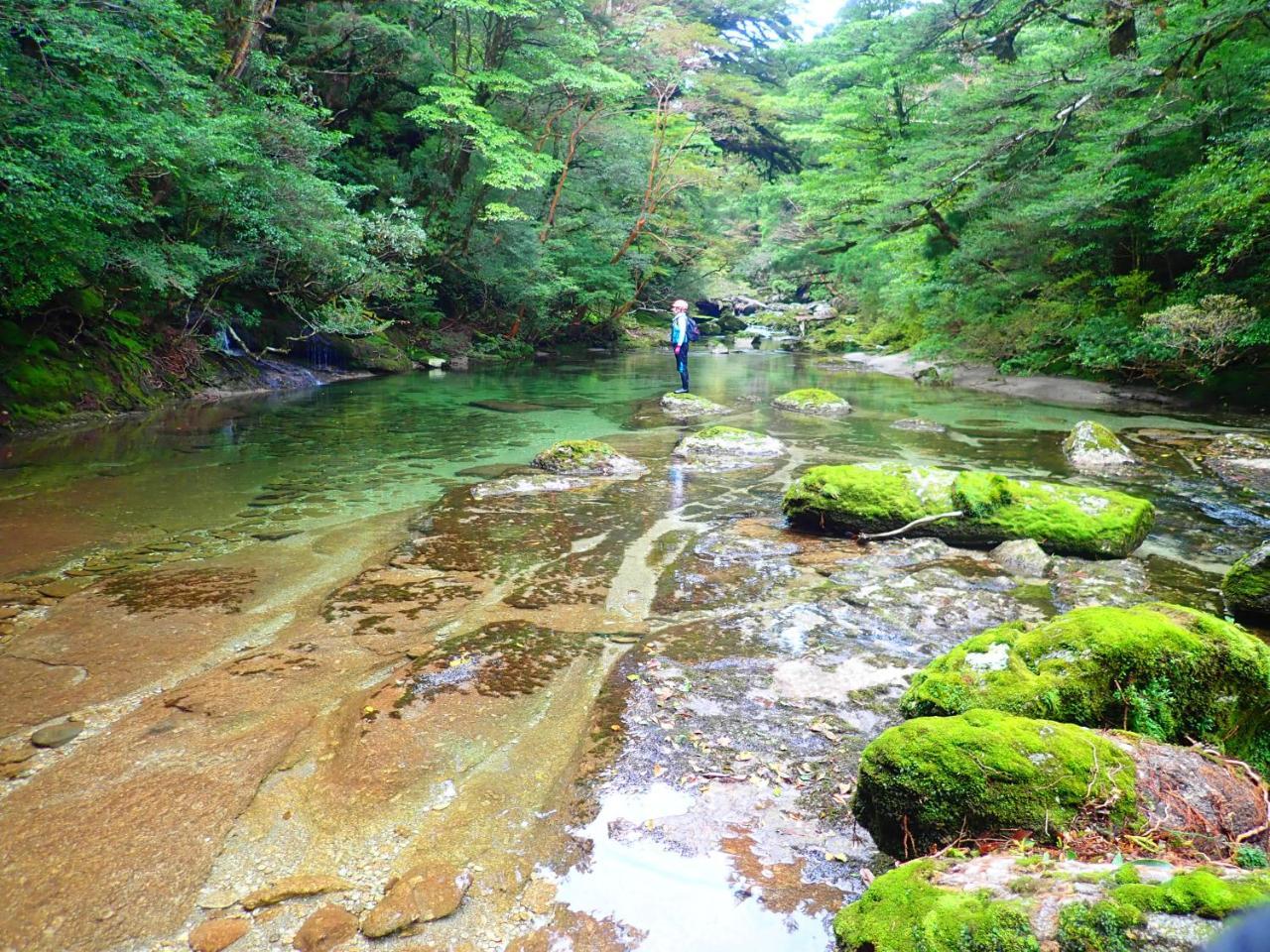 Yakushima Cottage Morino Fairy Eksteriør bilde